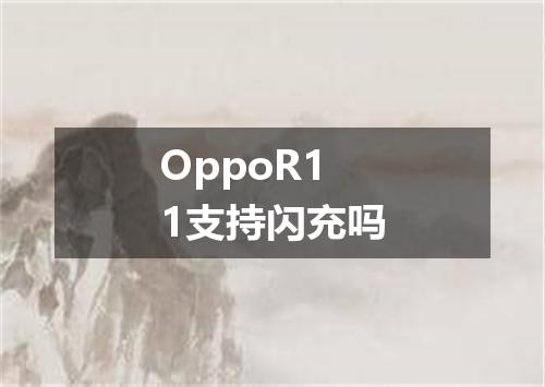 OppoR11支持闪充吗