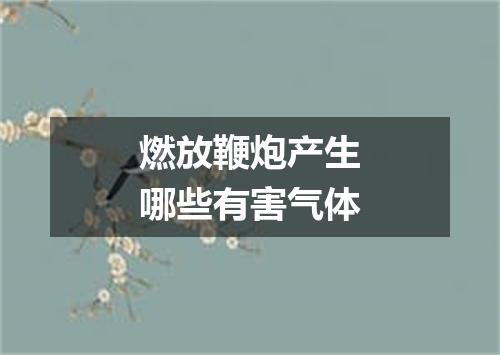 燃放鞭炮产生哪些有害气体