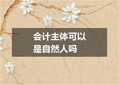 会计主体可以是自然人吗