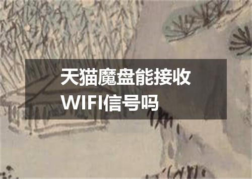 天猫魔盘能接收WIFI信号吗