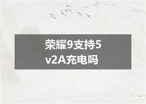 荣耀9支持5v2A充电吗