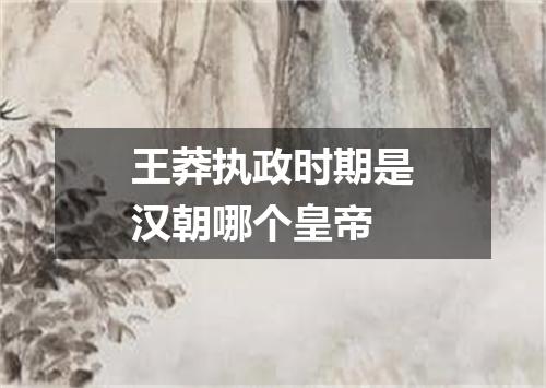 王莽执政时期是汉朝哪个皇帝