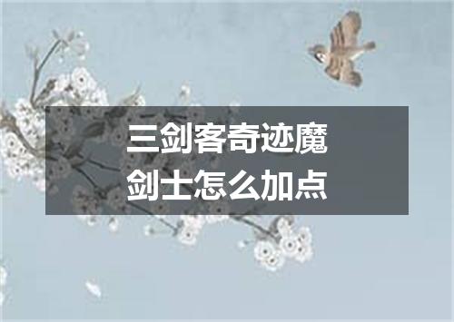 三剑客奇迹魔剑士怎么加点