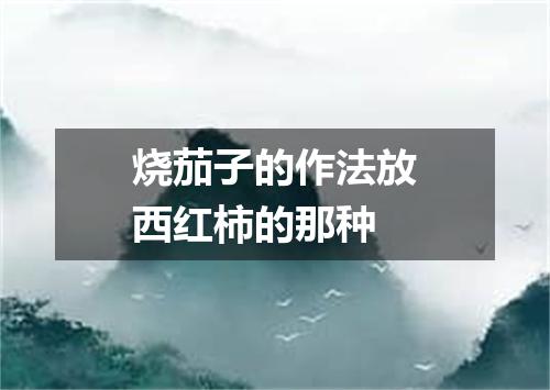 烧茄子的作法放西红柿的那种