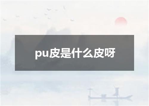 pu皮是什么皮呀