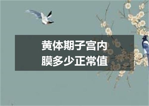 黄体期子宫内膜多少正常值