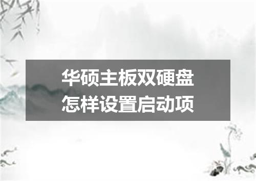 华硕主板双硬盘怎样设置启动项