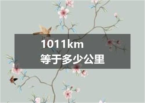 1011km等于多少公里