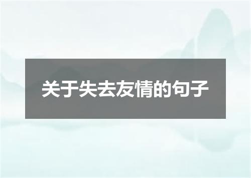 关于失去友情的句子