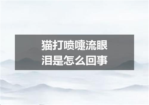 猫打喷嚏流眼泪是怎么回事