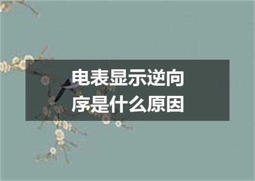 电表显示逆向序是什么原因