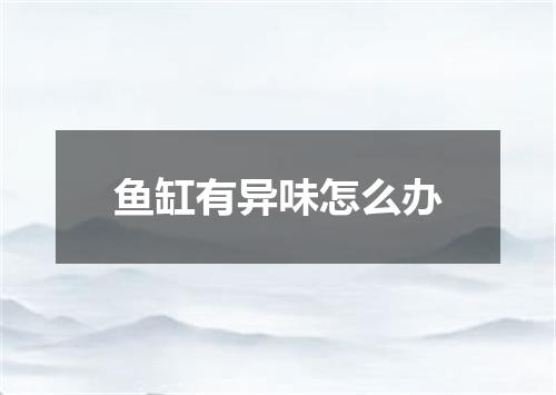 鱼缸有异味怎么办