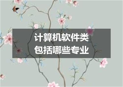 计算机软件类包括哪些专业