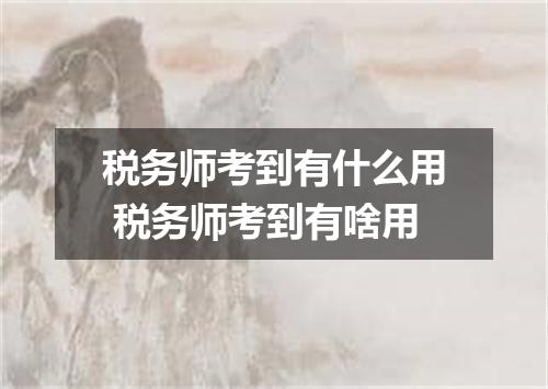 税务师考到有什么用 税务师考到有啥用