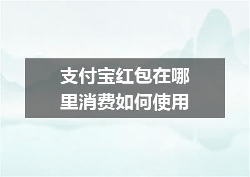 支付宝红包在哪里消费如何使用