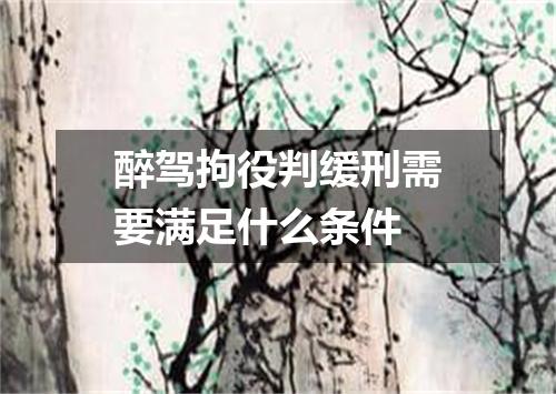 醉驾拘役判缓刑需要满足什么条件
