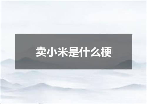 卖小米是什么梗