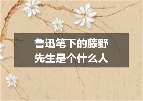 鲁迅笔下的藤野先生是个什么人