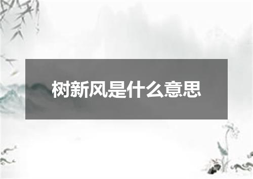树新风是什么意思