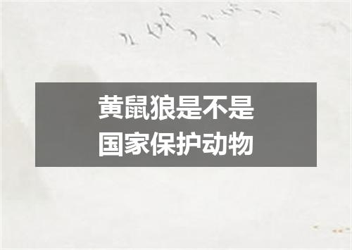 黄鼠狼是不是国家保护动物