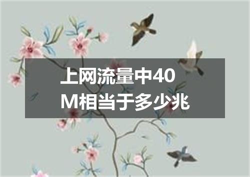 上网流量中40M相当于多少兆