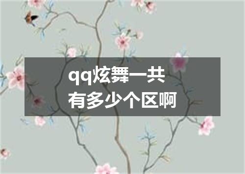 qq炫舞一共有多少个区啊