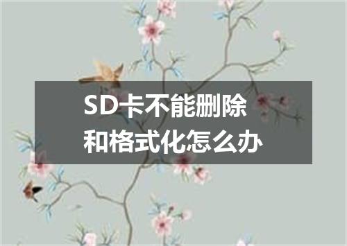 SD卡不能删除和格式化怎么办