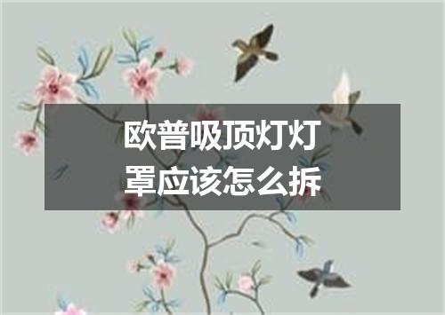 欧普吸顶灯灯罩应该怎么拆