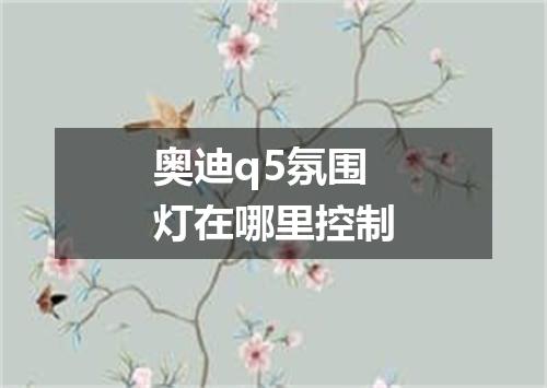 奥迪q5氛围灯在哪里控制