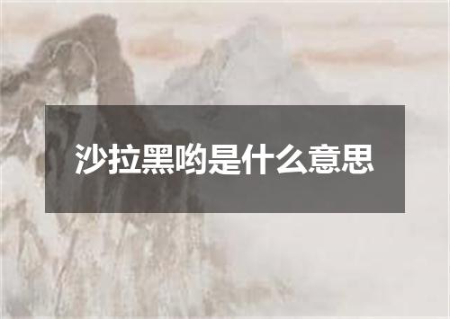 沙拉黑哟是什么意思