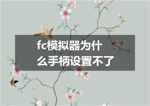fc模拟器为什么手柄设置不了