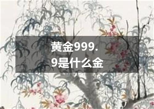 黄金999.9是什么金