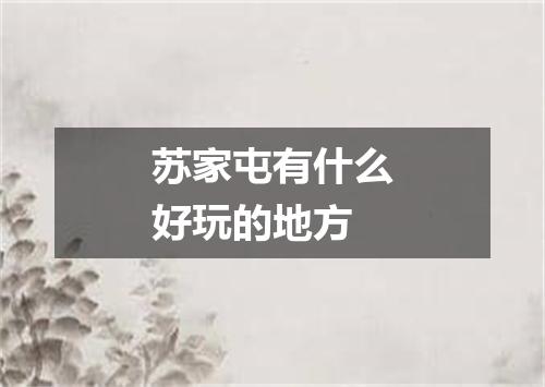 苏家屯有什么好玩的地方