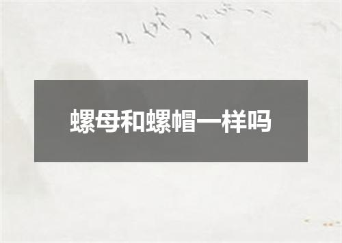 螺母和螺帽一样吗