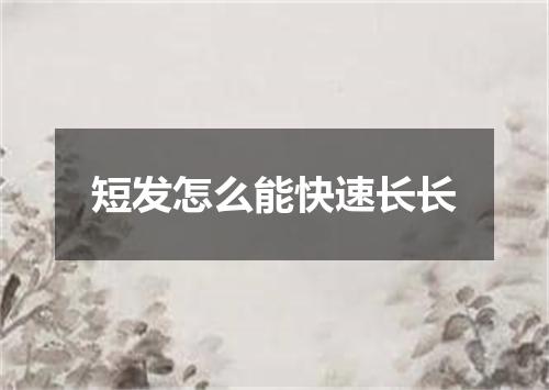 短发怎么能快速长长