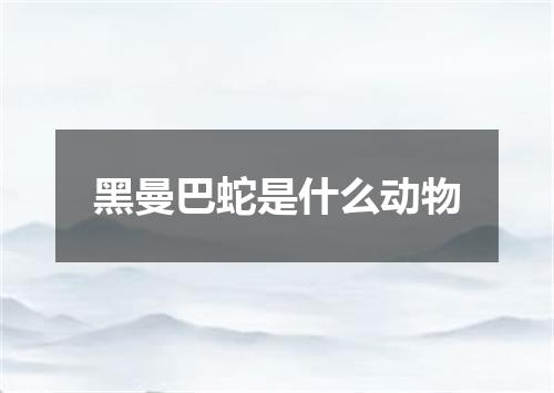 黑曼巴蛇是什么动物