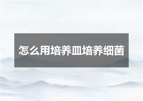 怎么用培养皿培养细菌