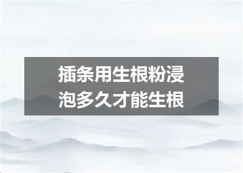 插条用生根粉浸泡多久才能生根
