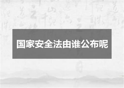 国家安全法由谁公布呢