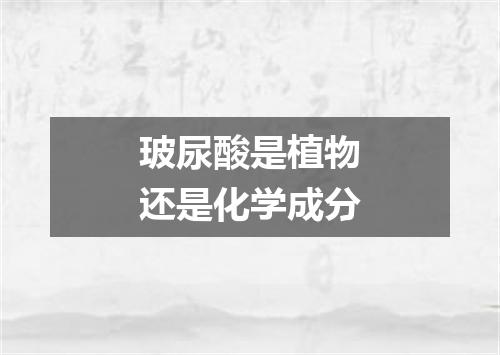 玻尿酸是植物还是化学成分
