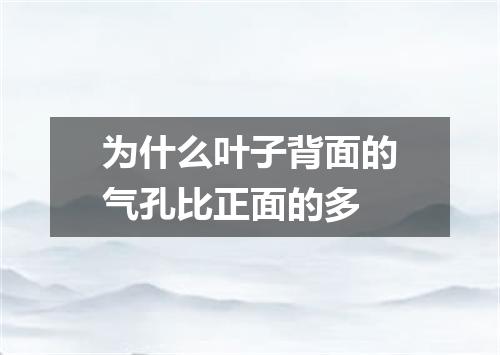 为什么叶子背面的气孔比正面的多