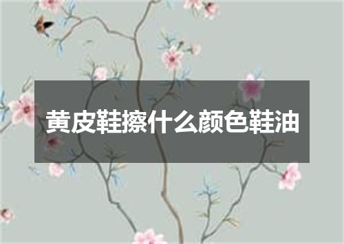 黄皮鞋擦什么颜色鞋油