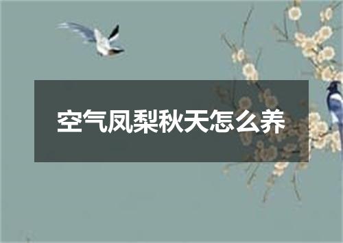 空气凤梨秋天怎么养