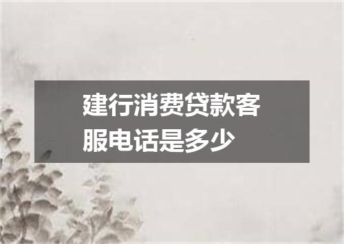 建行消费贷款客服电话是多少