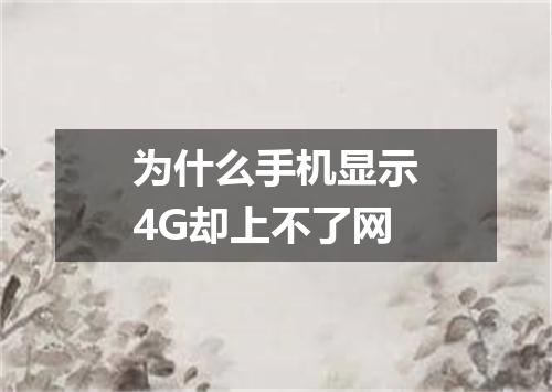 为什么手机显示4G却上不了网