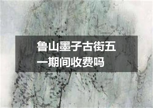 鲁山墨子古街五一期间收费吗