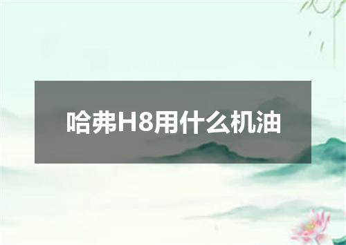 哈弗H8用什么机油