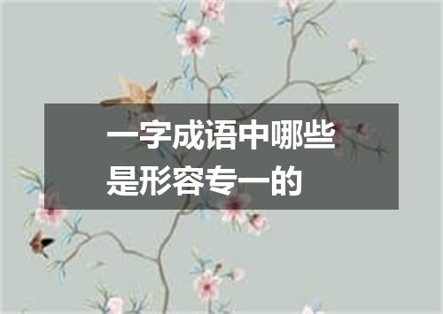 一字成语中哪些是形容专一的