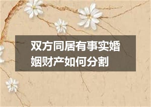 双方同居有事实婚姻财产如何分割