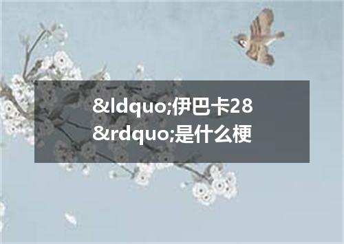&ldquo;伊巴卡28&rdquo;是什么梗